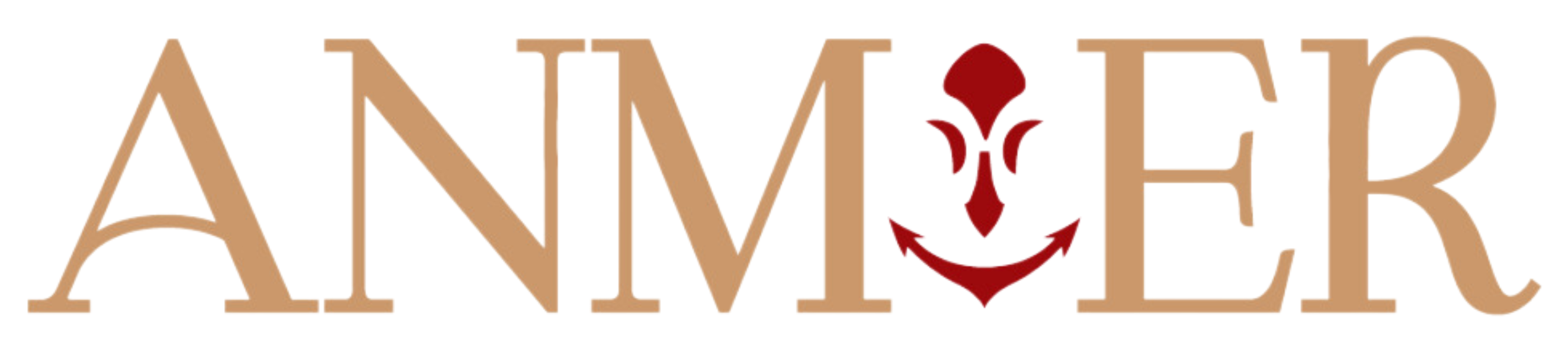 ANMIER Logo